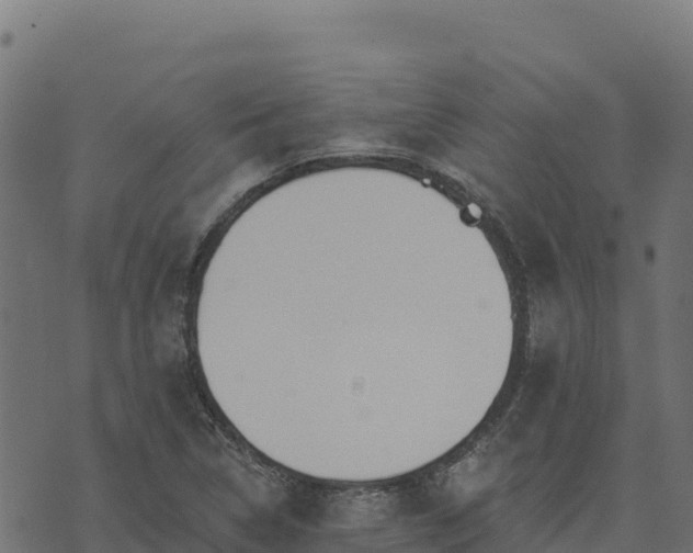 X0000073931314200608181104