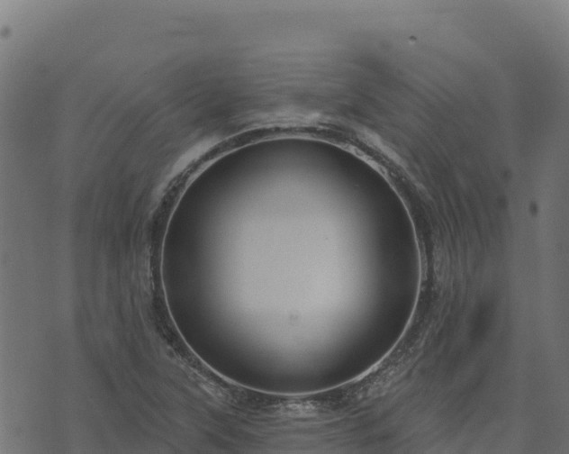 X0000073931315200608181104