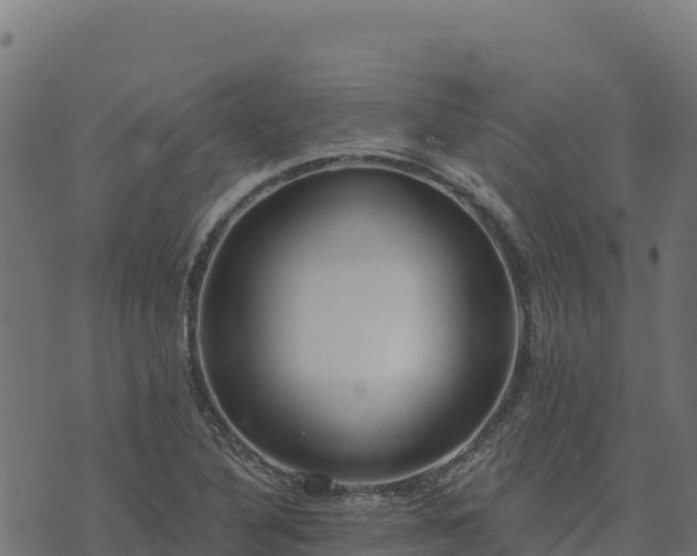 X0000073931316200608181104