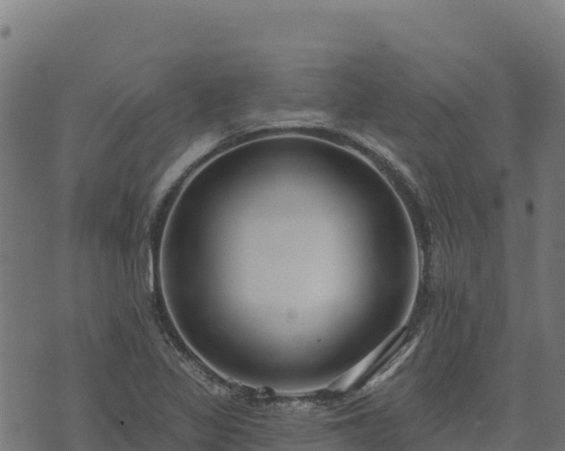 X0000073931317200608181104