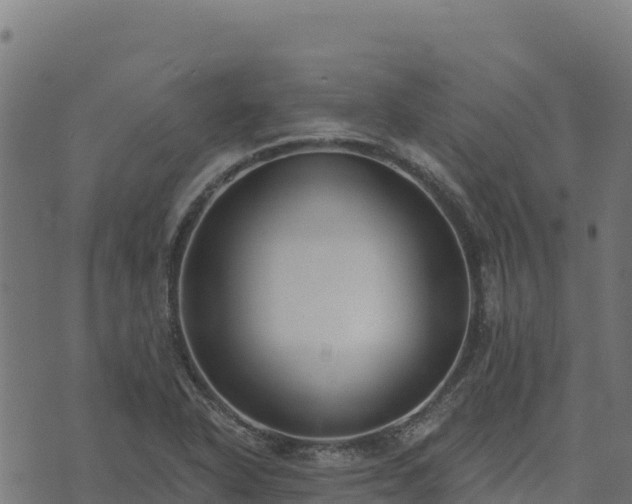 X0000073931318200608181104