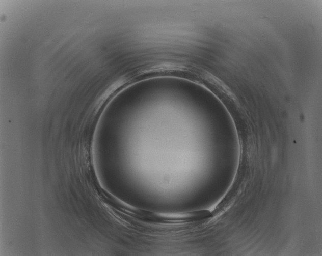 X0000073931321200608181104