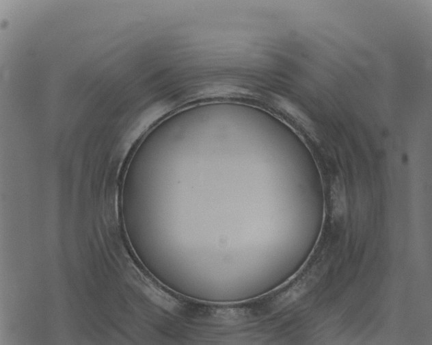 X0000073931322200608181104