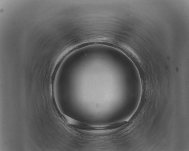 X0000073931324200608181104