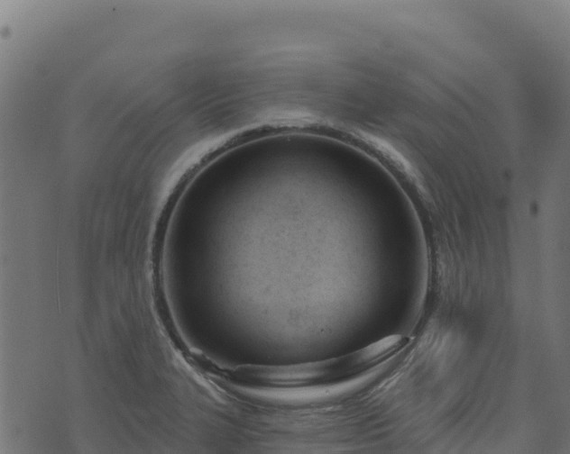 X0000073931327200608181104