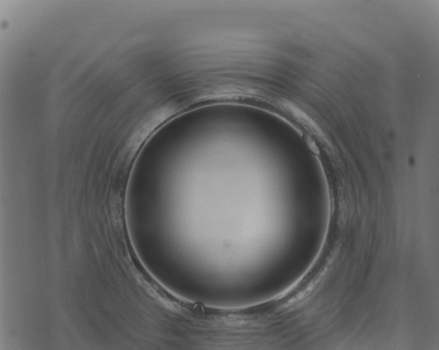 X0000073931329200608181104