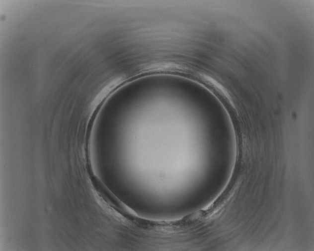 X0000073931330200608181104