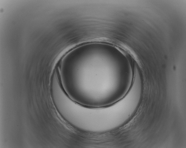 X0000073931332200608181104