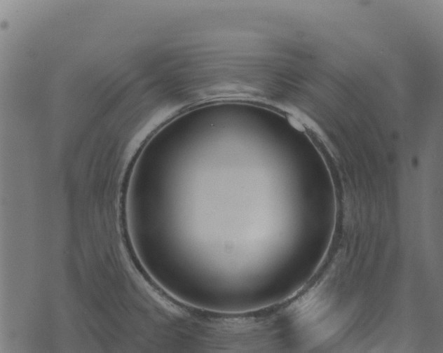 X0000073931333200608181104