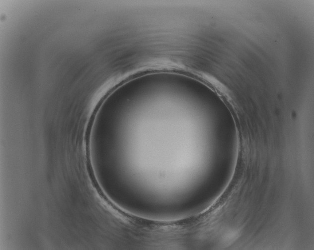 X0000073931335200608181104