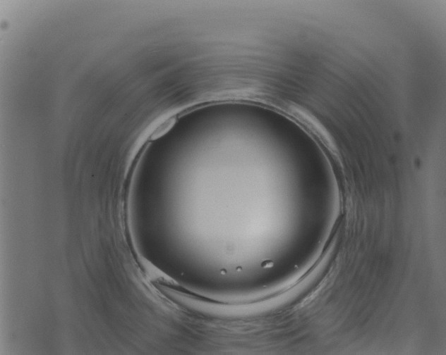 X0000073931340200608181105