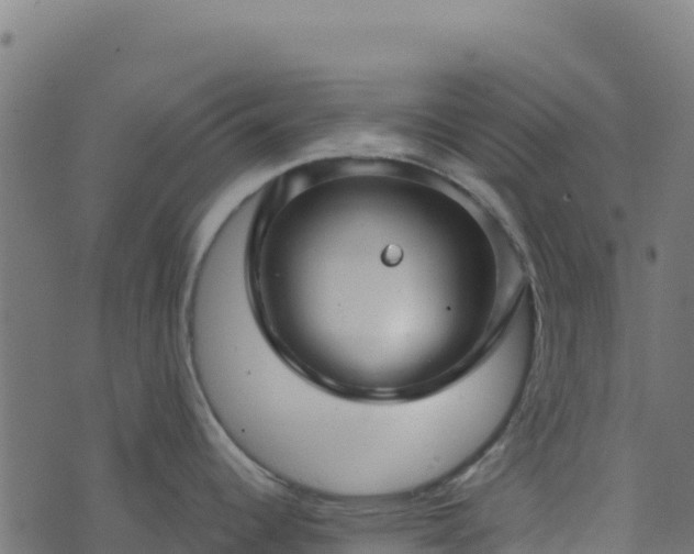 X0000073931344200608181105