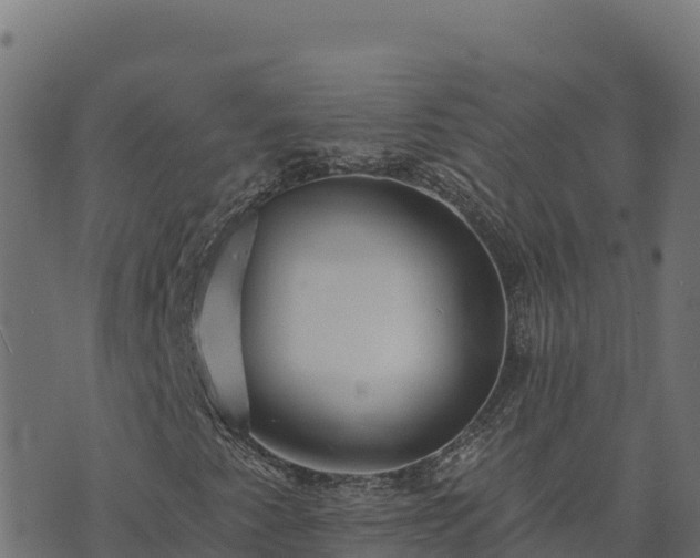 X0000073931345200608181104