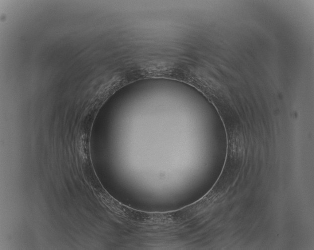 X0000073931346200608181104