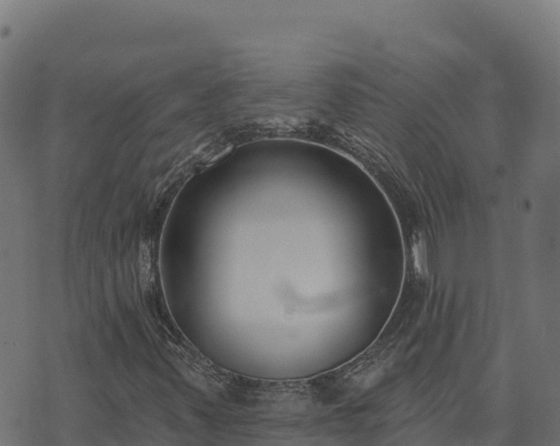 X0000073931347200608181104