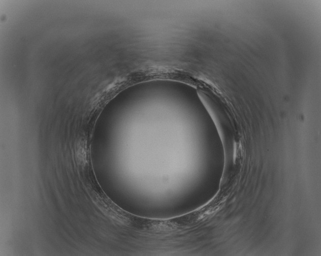 X0000073931348200608181104