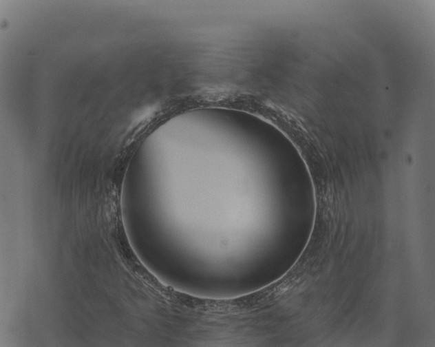 X0000073931349200608181104