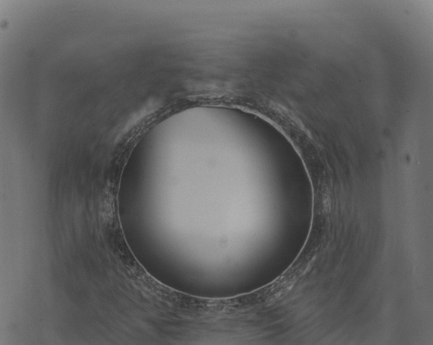 X0000073931350200608181104