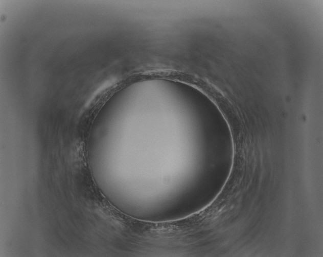 X0000073931351200608181104