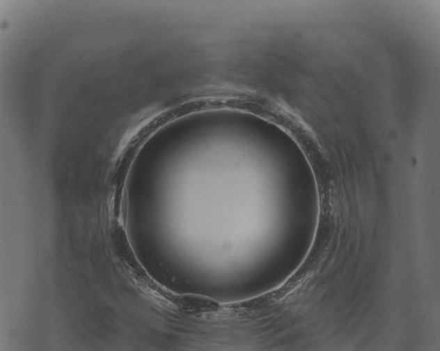 X0000073931352200608181104