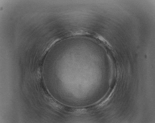 X0000073931353200608181104