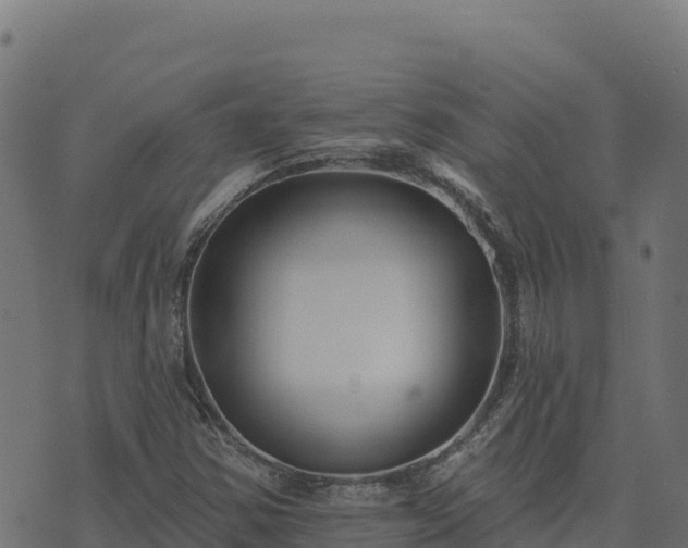 X0000073931354200608181104