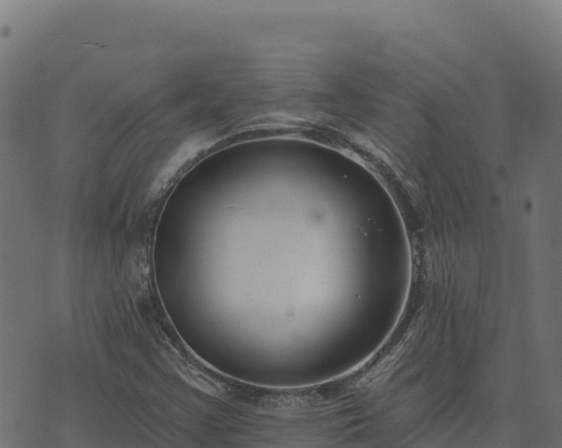 X0000073931355200608181104