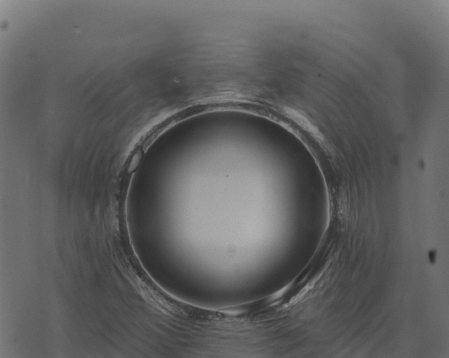 X0000073931356200608181104