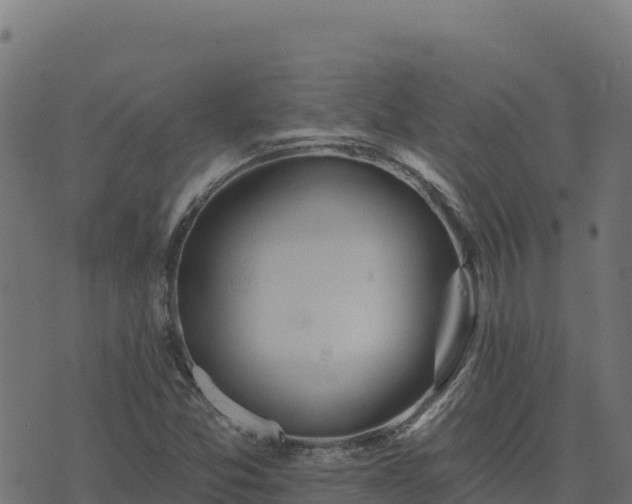 X0000073931357200608181104