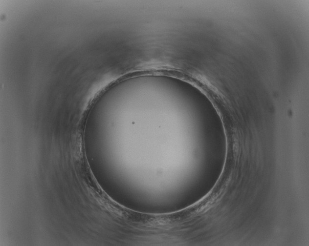 X0000073931358200608181104