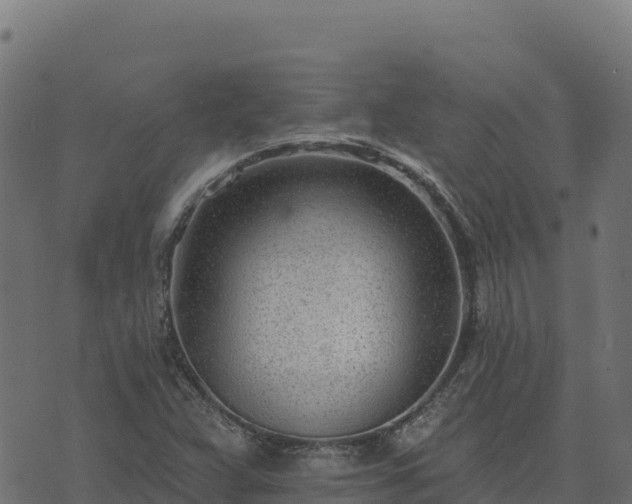 X0000073931359200608181104