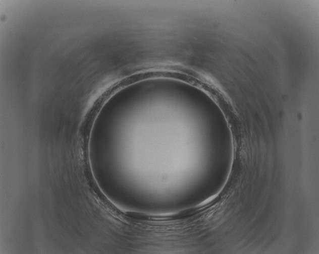 X0000073931360200608181104