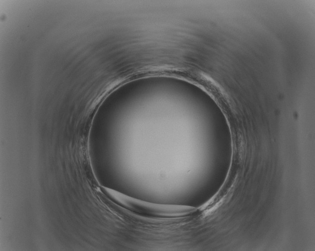 X0000073931361200608181104