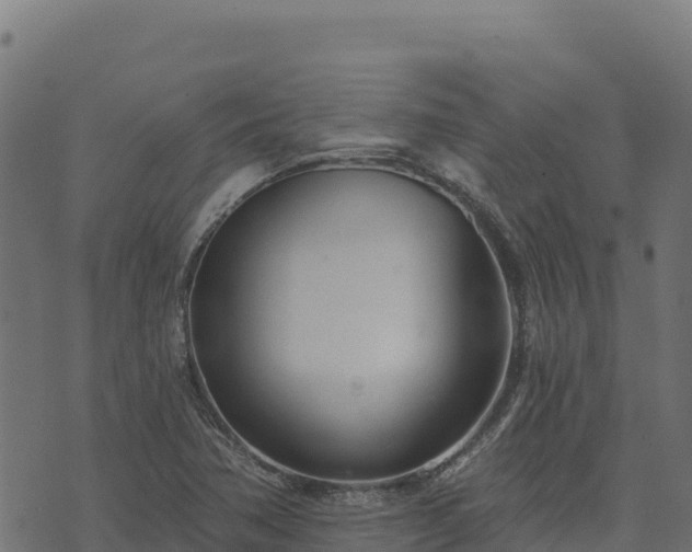 X0000073931362200608181104