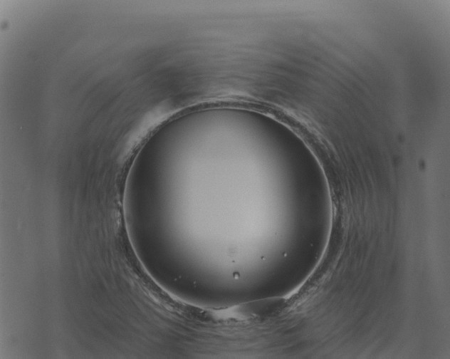 X0000073931363200608181103