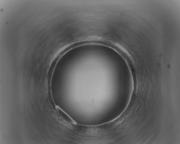 X0000073931364200608181103