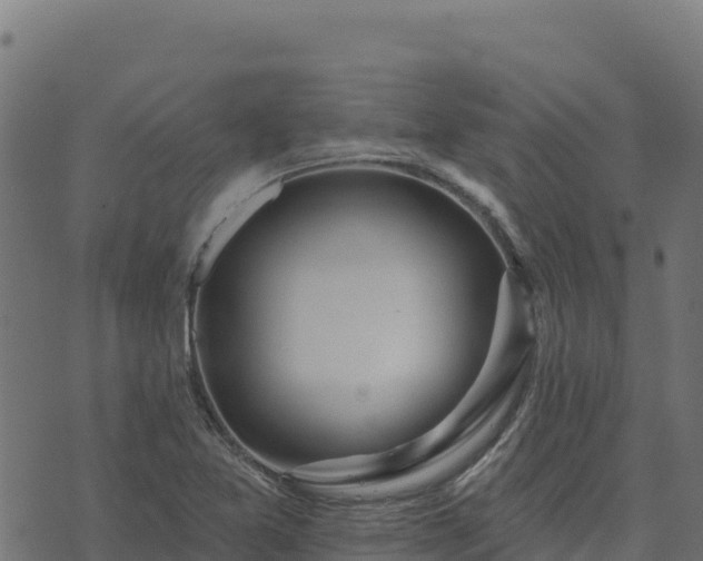 X0000073931365200608181103