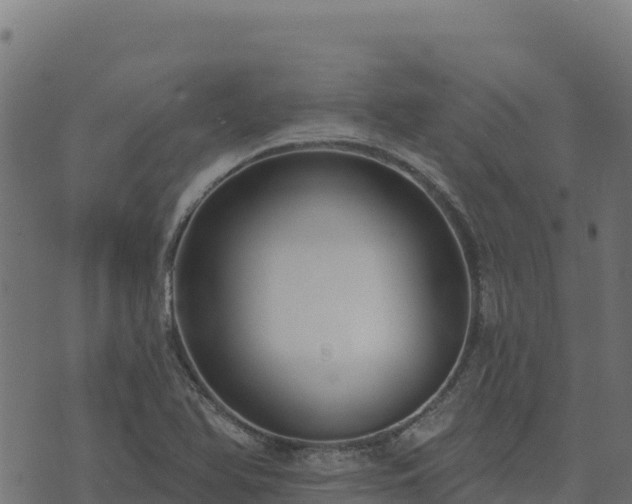 X0000073931366200608181103