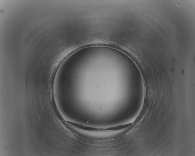 X0000073931367200608181103