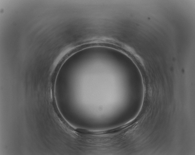 X0000073931368200608181103