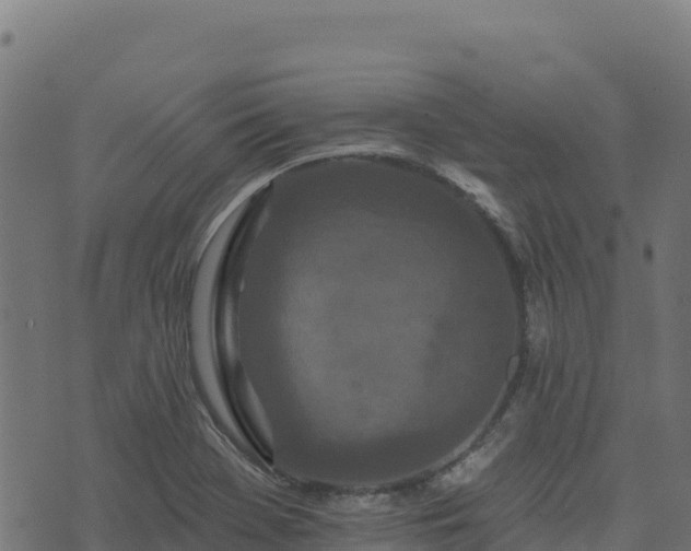 X0000073931369200608181103