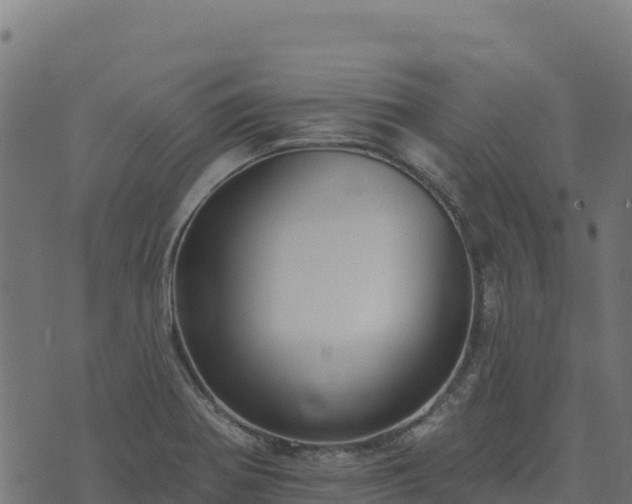 X0000073931370200608181103