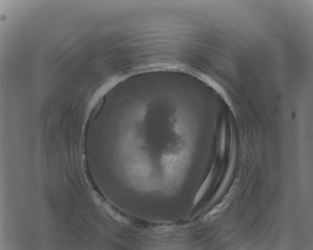 X0000073931373200608181103