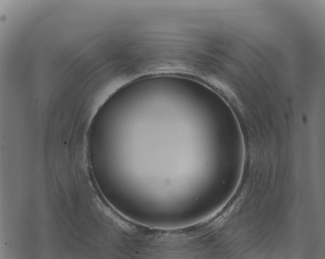 X0000073931374200608181103