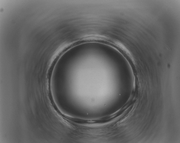 X0000073931376200608181103