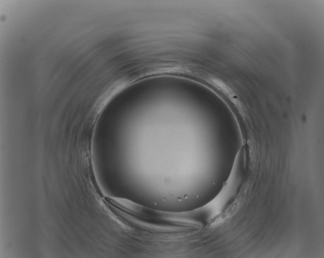 X0000073931377200608181103