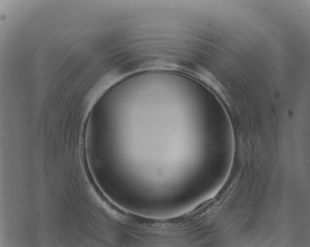 X0000073931379200608181103