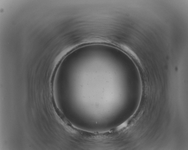 X0000073931380200608181103