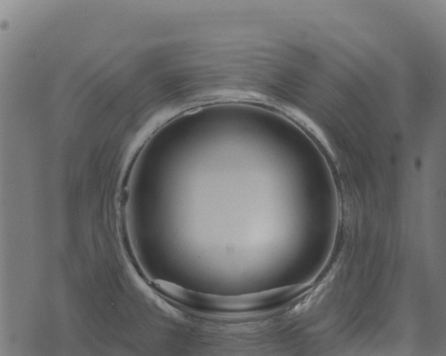 X0000073931381200608181103