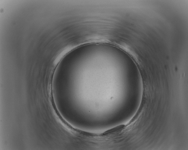 X0000073931383200608181103